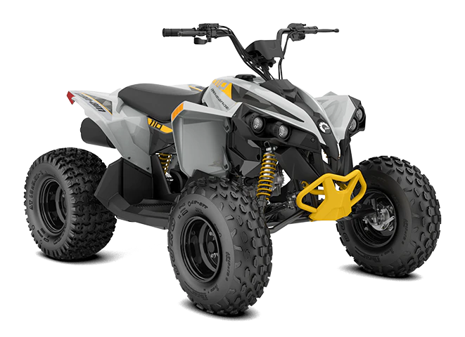 Exploring The Wide Range Of Quad Bikes Available For Sale