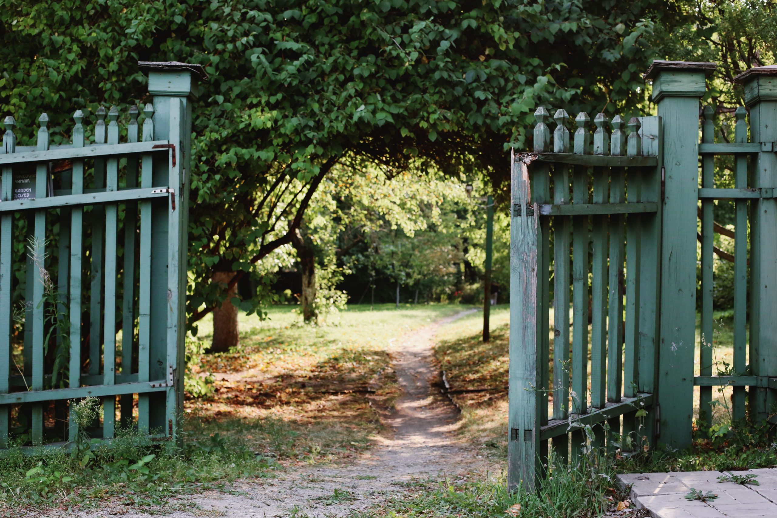 Gates Of Awareness Opening In Unexpected Situations