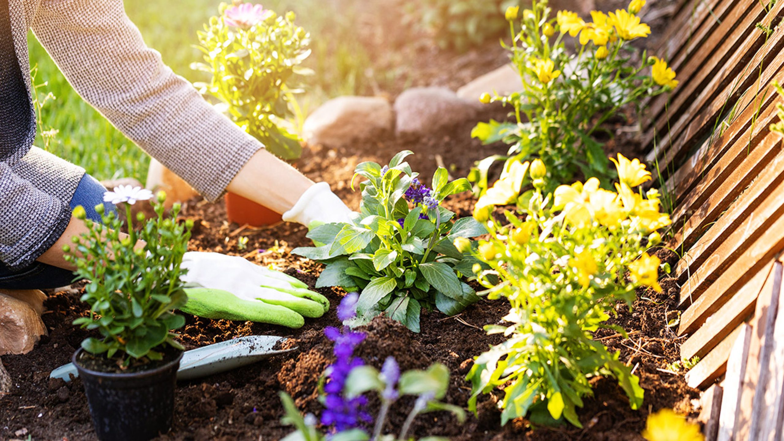 Seasonal Planting Guide For American Garden Zones